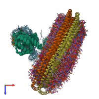 PDB entry 7rse coloured by chain, ensemble of 20 models, top view.