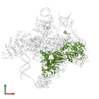 DNA-directed RNA polymerase in PDB entry 7s01, assembly 1, front view.