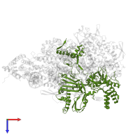 DNA-directed RNA polymerase in PDB entry 7s01, assembly 1, top view.