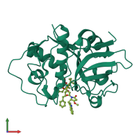 PDB entry 7s19 coloured by chain, front view.