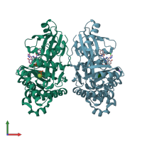 PDB entry 7s49 coloured by chain, front view.