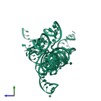 PDB 7sam contains 1 copy of Viral RNA in assembly 1. This RNA molecule is highlighted and viewed from the side.