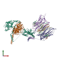PDB entry 7shf coloured by chain, front view.