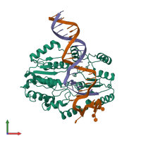 PDB entry 7ssg coloured by chain, front view.