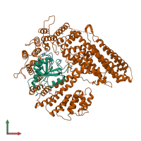 PDB entry 7stx coloured by chain, front view.