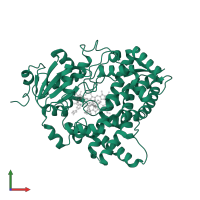 Cytochrome P450 3A5 in PDB entry 7sv2, assembly 1, front view.