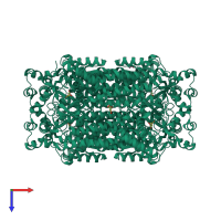 Homo tetrameric assembly 1 of PDB entry 7t93 coloured by chemically distinct molecules, top view.