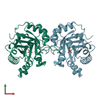 PDB entry 7tim coloured by chain, front view.