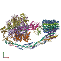 PDB entry 7tjz coloured by chain, front view.