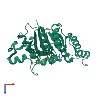 PDB 7tne coloured by chain and viewed from the top.
