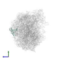 Large ribosomal subunit protein uL24A in PDB entry 7too, assembly 1, side view.