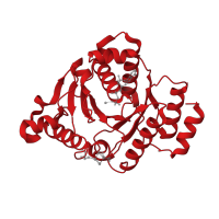 The deposited structure of PDB entry 7tqf contains 1 copy of Pfam domain PF00142 (4Fe-4S iron sulfur cluster binding proteins, NifH/frxC family) in Nitrogenase iron protein 1. Showing 1 copy in chain A.