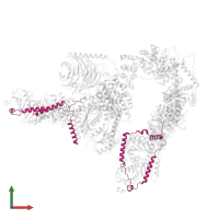 Ragulator complex protein LAMTOR1 in PDB entry 7ux2, assembly 1, front view.