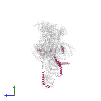 Ragulator complex protein LAMTOR1 in PDB entry 7ux2, assembly 1, side view.