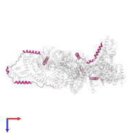 Ragulator complex protein LAMTOR1 in PDB entry 7ux2, assembly 1, top view.