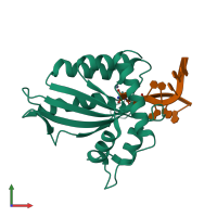 PDB entry 7uxd coloured by chain, front view.