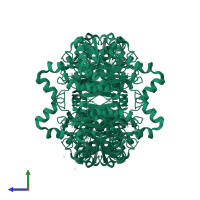 Putative 2,5-dichloro-2,5-cyclohexadiene-1,4-diol dehydrogenase in PDB entry 7v1q, assembly 2, side view.