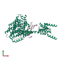 PDB entry 7v74 coloured by chain, front view.