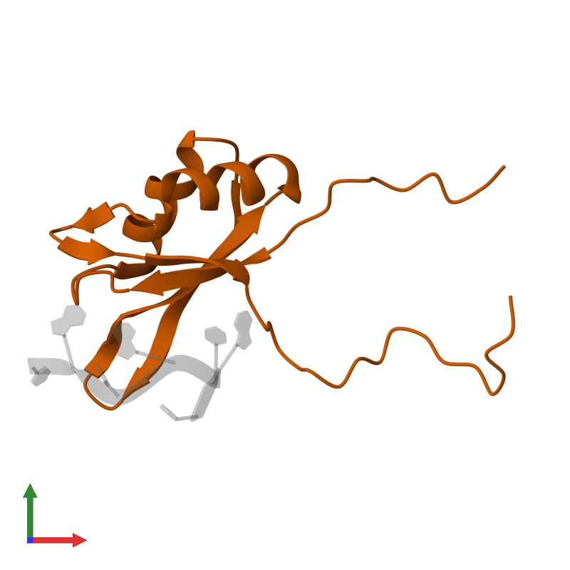 PDB 7vrl gallery ‹ Protein Data Bank in Europe (PDBe) ‹ EMBLEBI