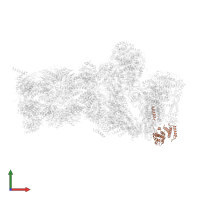 26S proteasome non-ATPase regulatory subunit 8 in PDB entry 7w3b, assembly 1, front view.