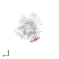 26S proteasome non-ATPase regulatory subunit 8 in PDB entry 7w3b, assembly 1, side view.