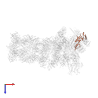 26S proteasome non-ATPase regulatory subunit 8 in PDB entry 7w3b, assembly 1, top view.