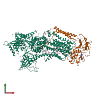 PDB entry 7whv coloured by chain, front view.