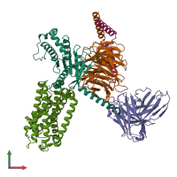 PDB entry 7wkd coloured by chain, front view.