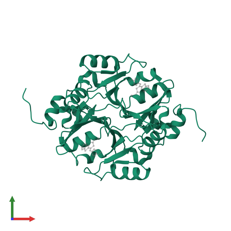 PDB 7wt2 gallery ‹ Protein Data Bank in Europe (PDBe) ‹ EMBLEBI