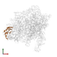 Small ribosomal subunit protein eS1A in PDB entry 7wtq, assembly 1, front view.