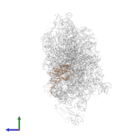 Small ribosomal subunit protein eS1A in PDB entry 7wtq, assembly 1, side view.