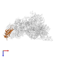 Small ribosomal subunit protein eS1A in PDB entry 7wtq, assembly 1, top view.