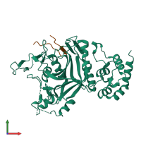 PDB entry 7wwq coloured by chain, front view.