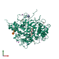 PDB entry 7wyj coloured by chain, front view.