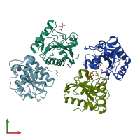 PDB entry 7xfy coloured by chain, front view.