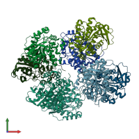 PDB entry 7yc4 coloured by chain, front view.