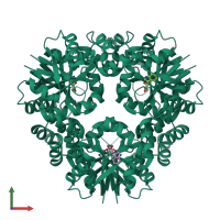 Homo hexameric assembly 1 of PDB entry 7yy8 coloured by chemically distinct molecules, front view.