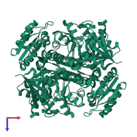 Phosphopantetheine adenylyltransferase in PDB entry 7yy8, assembly 1, top view.