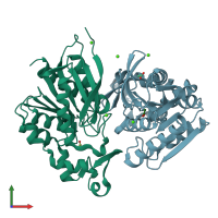 PDB entry 7z2v coloured by chain, front view.