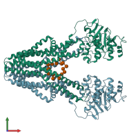 PDB entry 7zoa coloured by chain, front view.