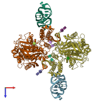 PDB entry 7zqs coloured by chain, top view.