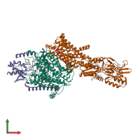 PDB entry 7zrl coloured by chain, front view.