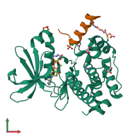 PDB entry 7ztl coloured by chain, front view.