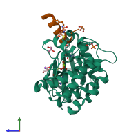 PDB entry 7ztl coloured by chain, side view.