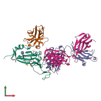 PDB entry 7zxu coloured by chain, front view.