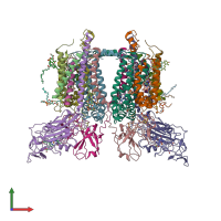PDB entry 7zxy coloured by chain, front view.