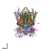 PDB entry 7zxy coloured by chain, side view.