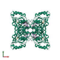 Homo tetrameric assembly 1 of PDB entry 7zze coloured by chemically distinct molecules, front view.