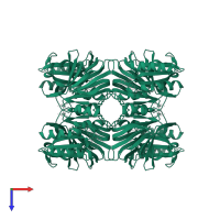 NAD kinase 1 in PDB entry 7zze, assembly 1, top view.