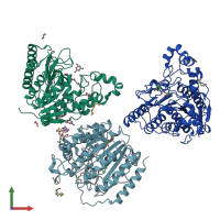 PDB entry 7zzp coloured by chain, front view.